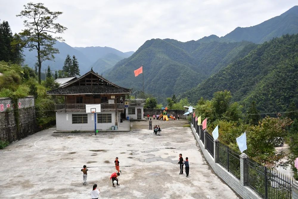 　图片来源：新华社