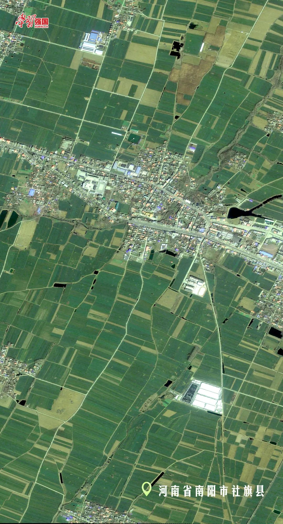 春回天地间奋斗正当时