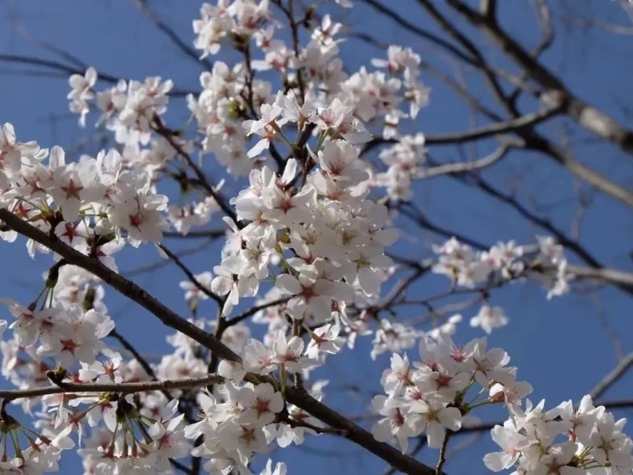 黄淮学院郑州工程技术学院新乡学院信阳农林学院郑州西亚斯学院黄河