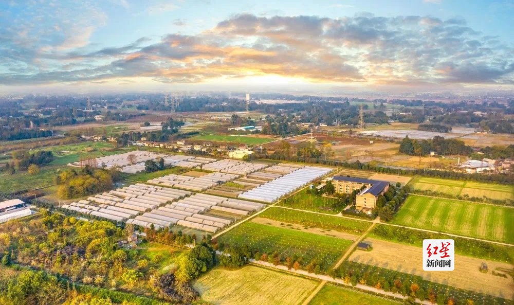 从一场美食节说起,新津"春糖季"背后的"川台情缘"|台湾_新浪财经_新浪