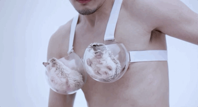 图片来源：Wow Girls’ Lab by X-Line Co., Ltd.