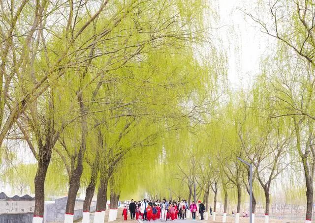 正确防护看这里→|过敏_新浪财经_新浪网