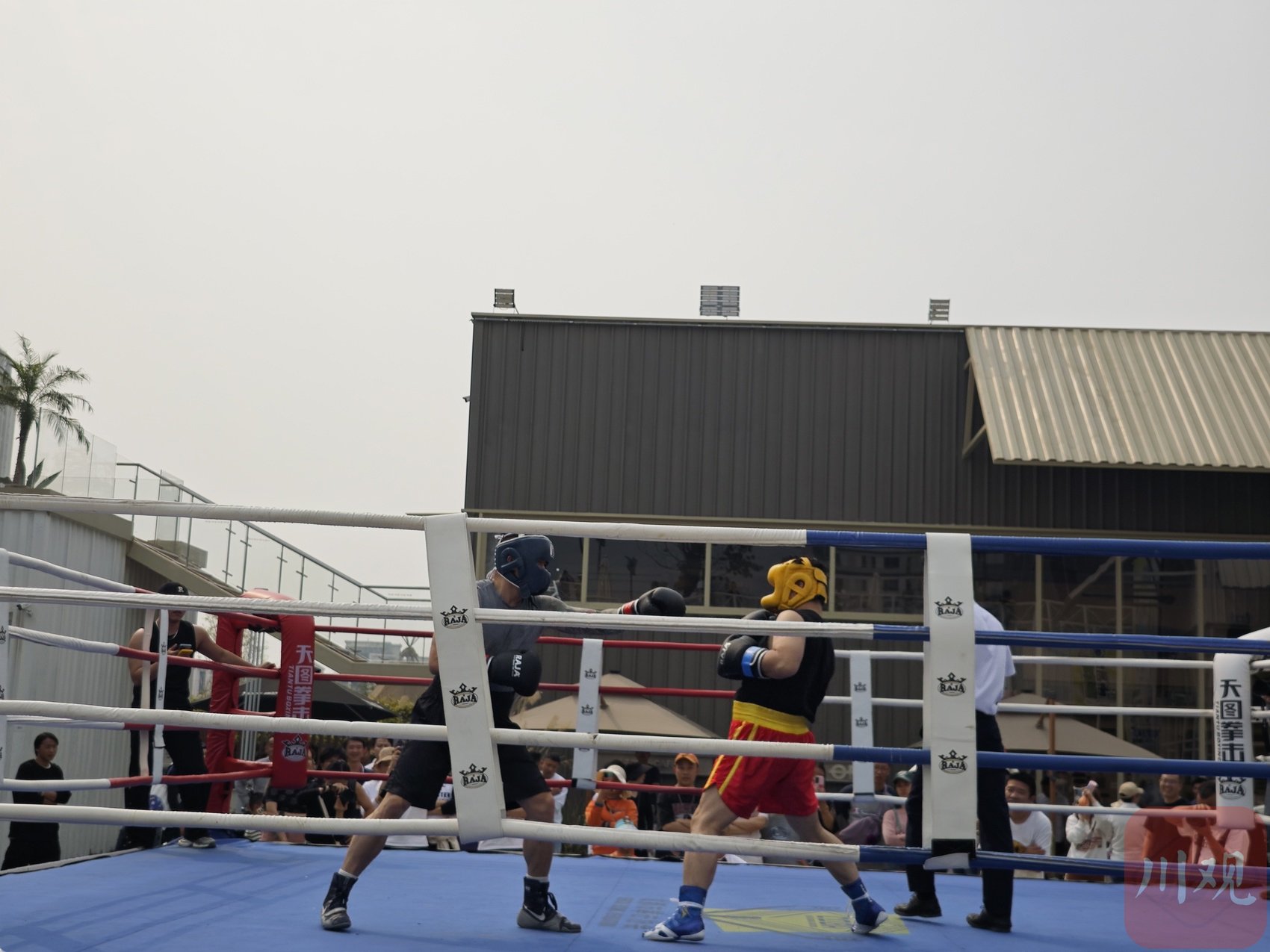 职场人士奔赴拳台 成都市拳击协会第一届白领拳王公开赛举行|拳击