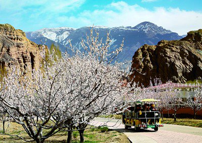 守护"人在旅途" 点亮"诗与远方"|戴斌_新浪财经_新浪网