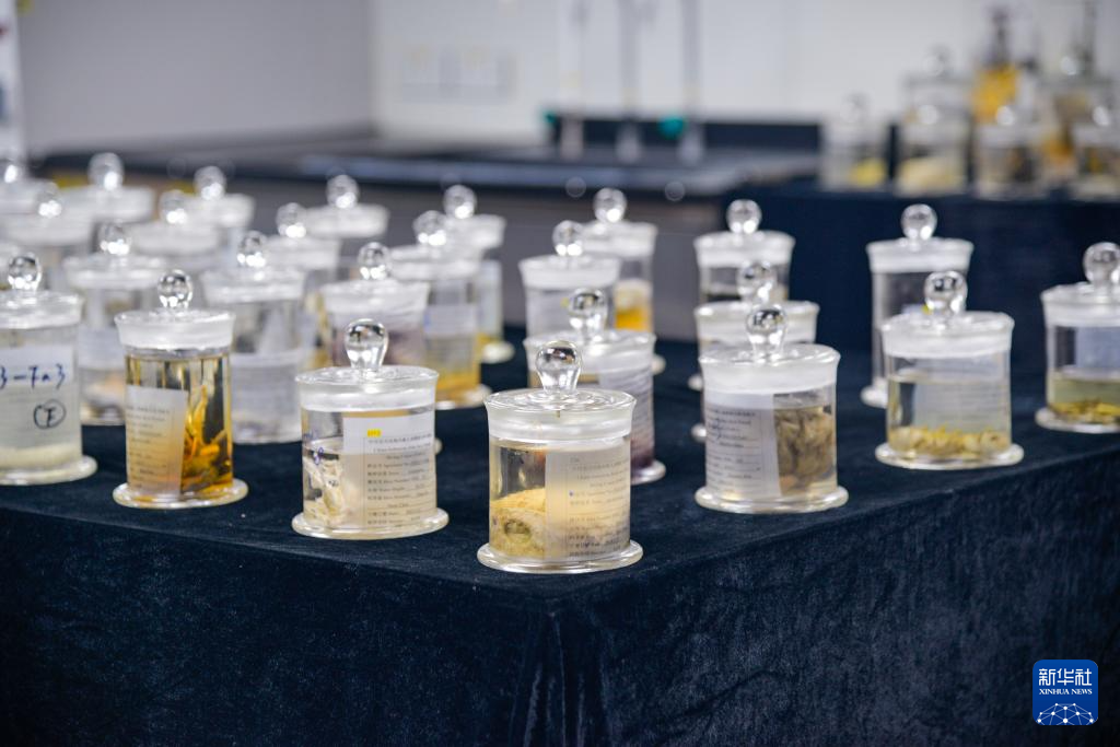 雅加达丹戎不碌港停靠的"探索一号"科考船上拍摄的爪哇海沟生物样本