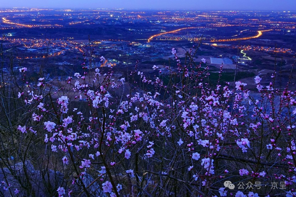 王秀丽 摄3月24日北京晚报京城拍客版面:《赏花时》■下期征稿主题