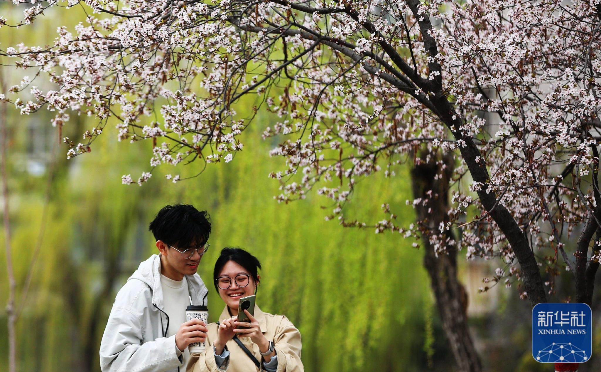 3月23日,游客在山东枣庄滕州市北辛植物园游玩拍照.