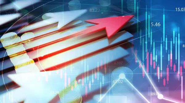 12股上涨空间有望超50%|净利润_新浪财经_新浪网