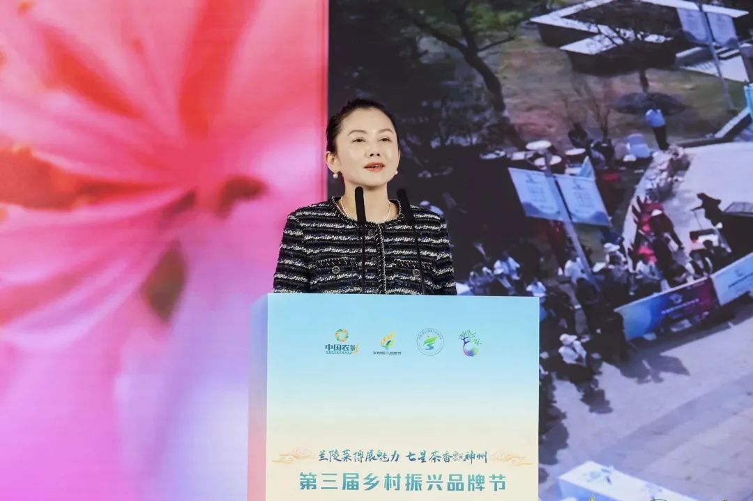 正式进入兰陵毕节七星关时间第三届乡村振兴品牌节有哪些全新升级