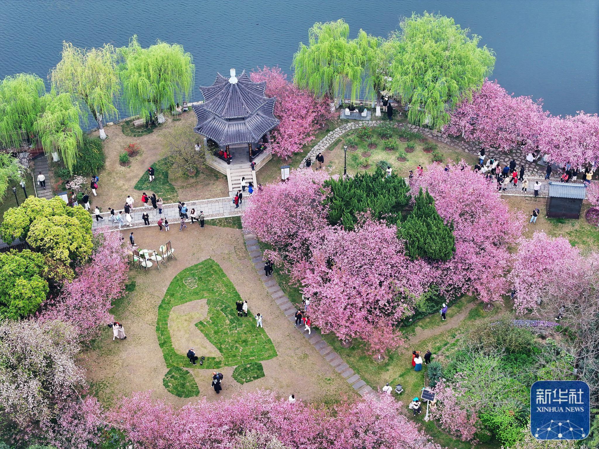 3月23日,游客在南京莫愁湖公园内赏花游玩(无人机照片).