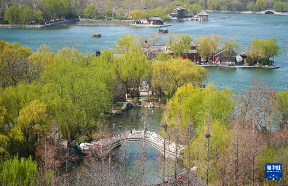 山东省济南市大明湖春日风景如画(3月21日摄).新华社记者 徐速绘 摄