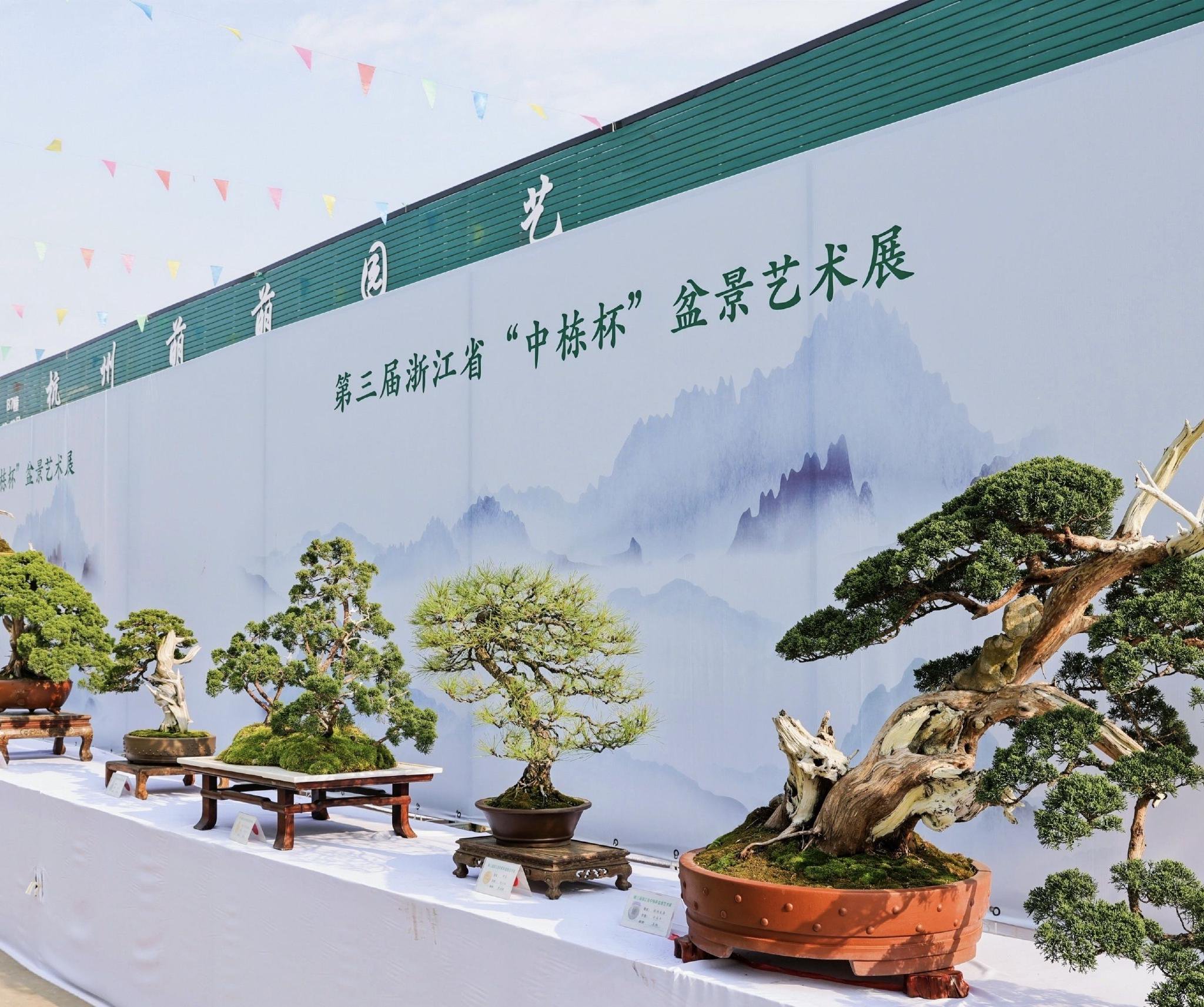 第19届中国(萧山)花木节开幕|萧山_新浪财经_新浪网