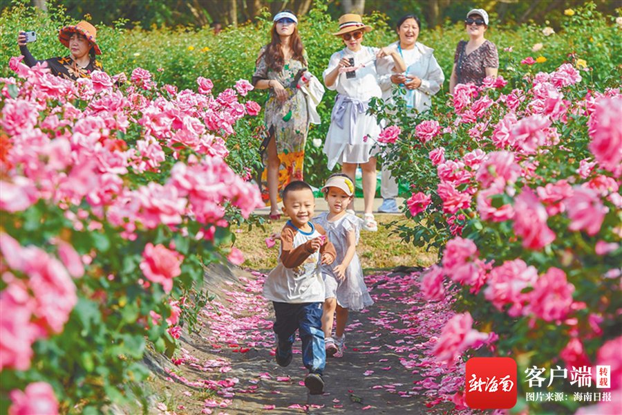 在三亚亚龙湾国际玫瑰谷,游客踏青赏景,畅享美好时光.记者 王程龙 摄