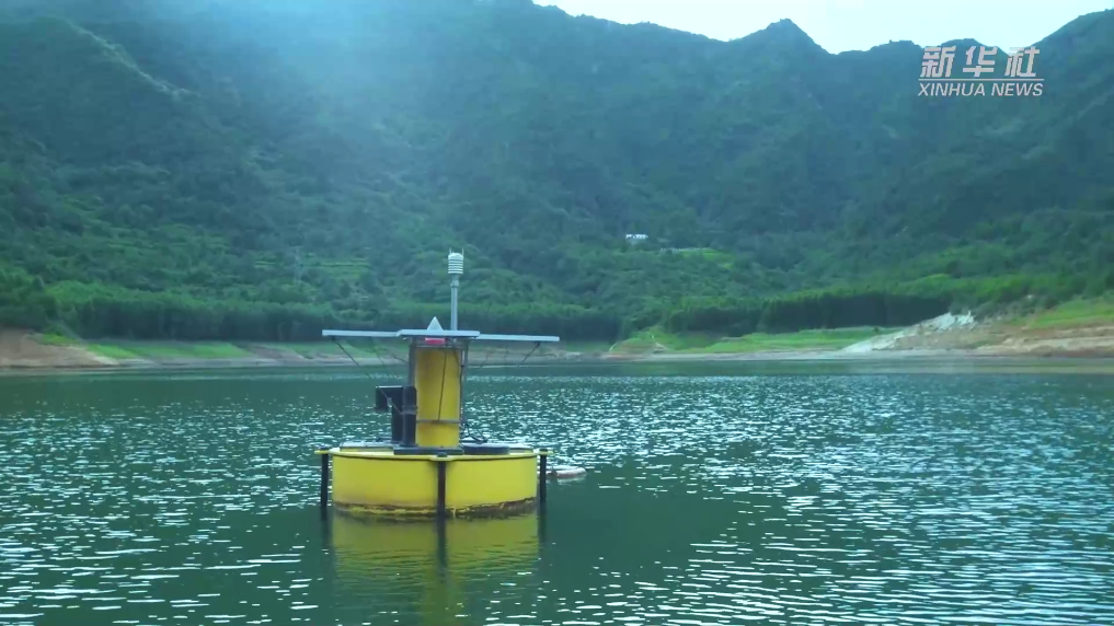 走近秦岭深处的"护水人"|秦岭_新浪财经_新浪网