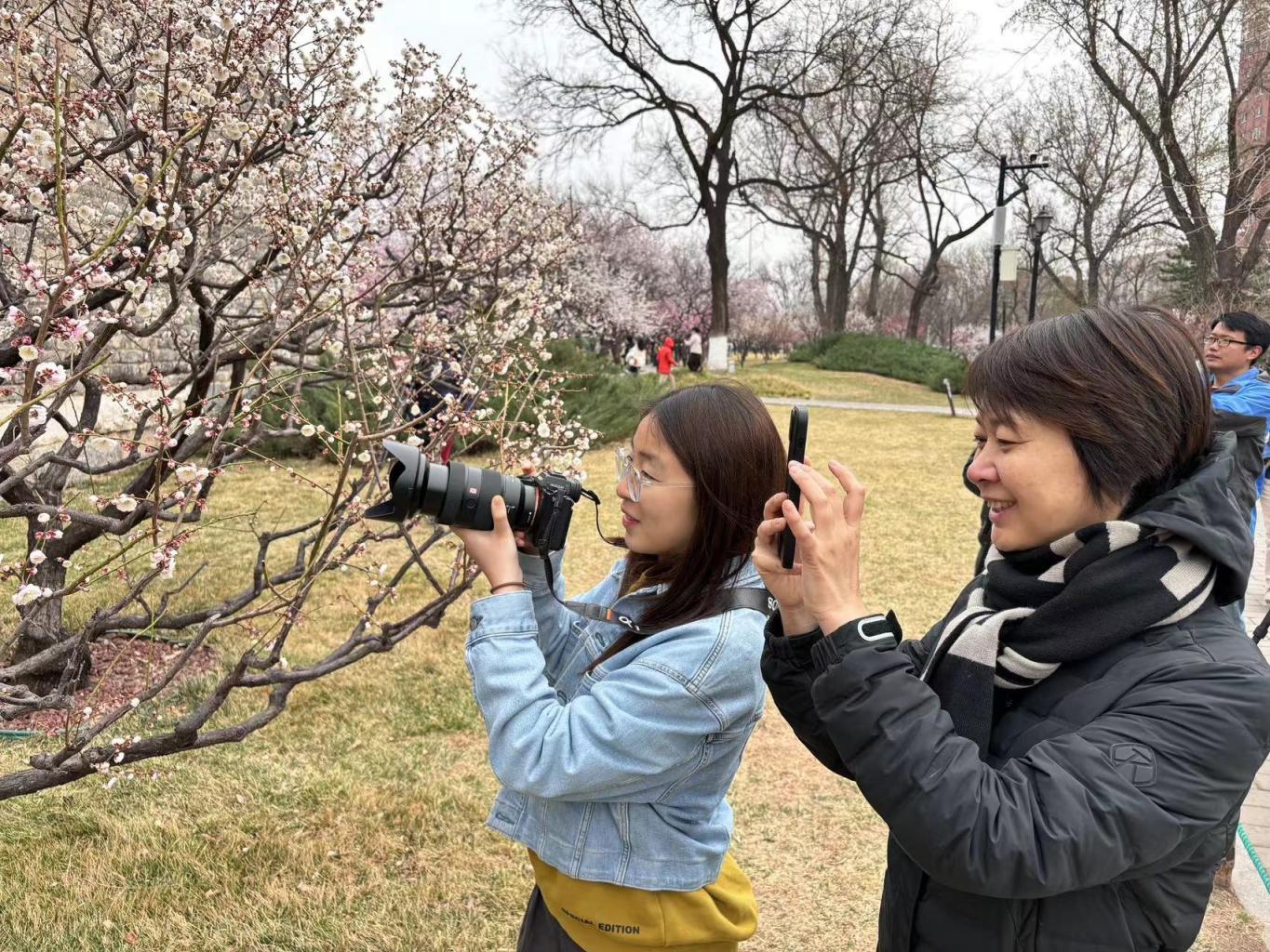 来源:北京日报客户端 记者 刘平
