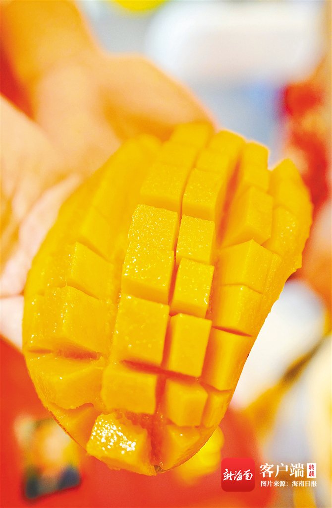 来自北纬十八度的鲜味 "陵水珍鲜"芒果飘香海南热博会|芒果_新浪财经