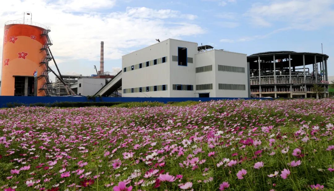 广东中南钢铁股份有限公司。