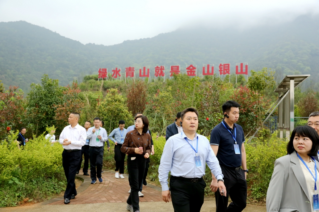 广东大宝山矿业有限公司开展矿山生态修复后产生的巨大变化给与会人员留下深刻印象。