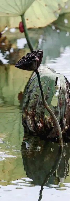 新浪财经_新浪网