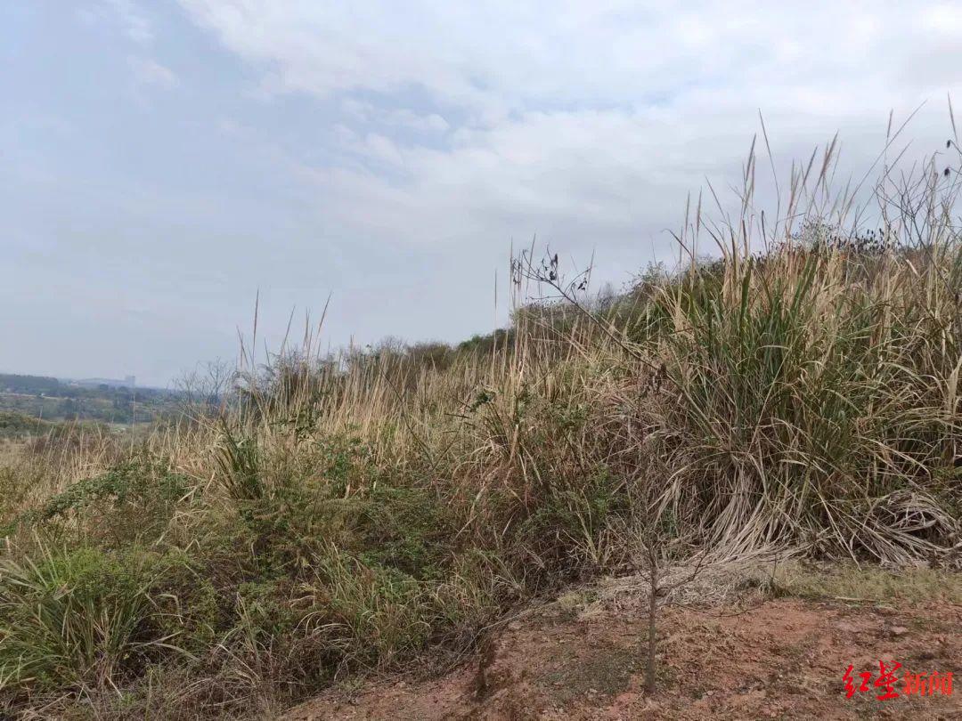 ▲事发地地形复杂