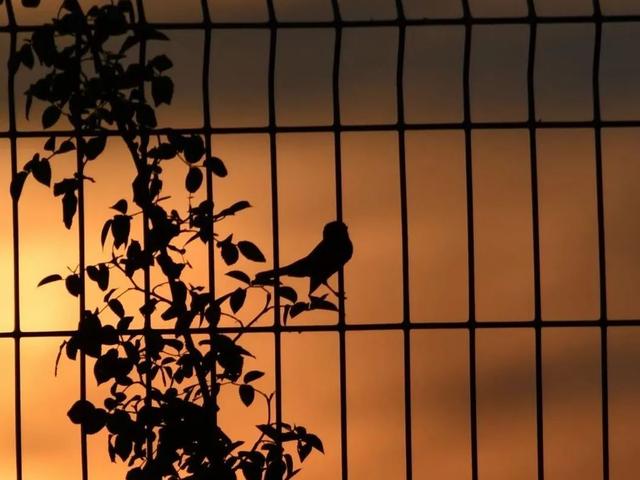 新浪财经_新浪网