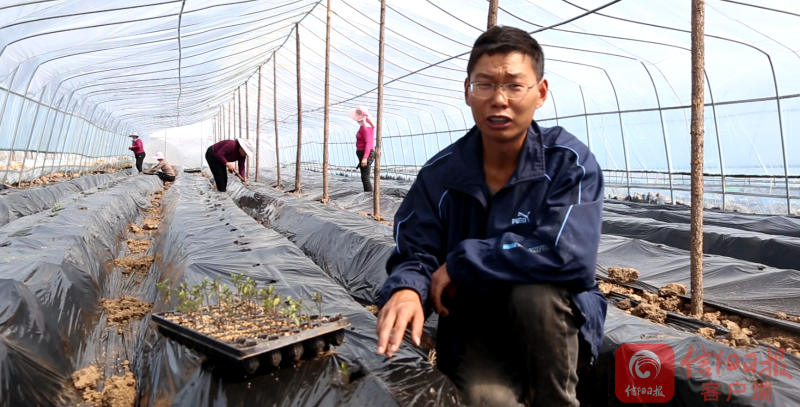 依靠自己所学和在外积累多年的经验,现在在罗山县竹竿镇赵山村开始