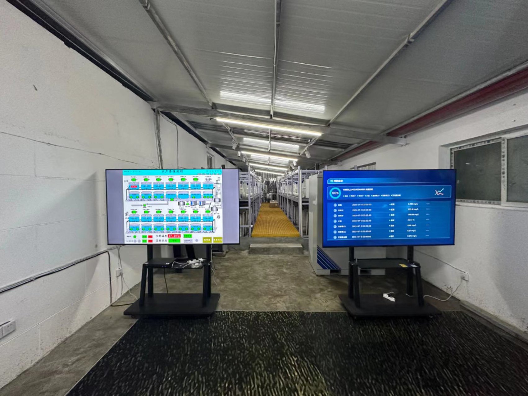 智能设备可以全方位监控南美白对虾养殖池水质等数据.受访者供图