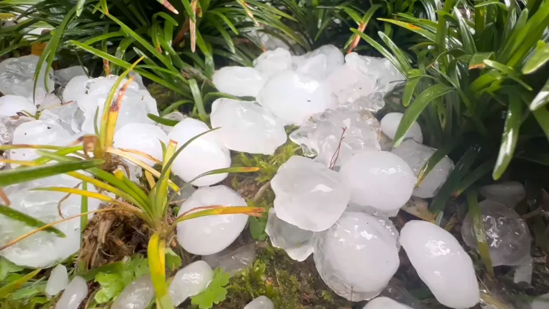 浙江一地突降大冰雹,还有10级以上大风!