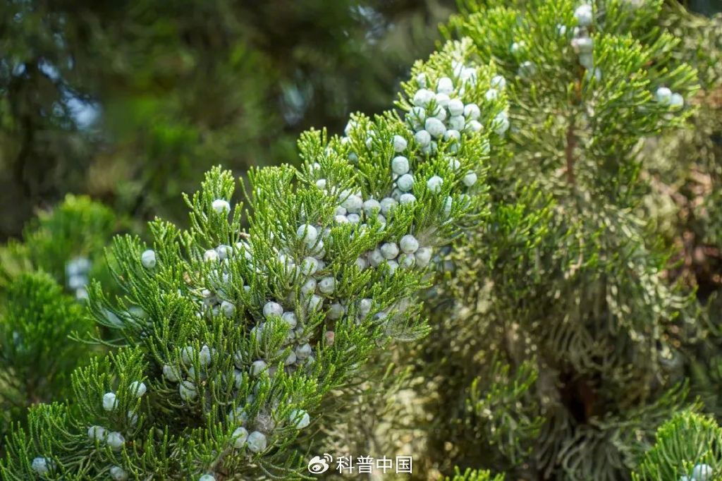 "真凶"其实是……_新浪财经_新浪网