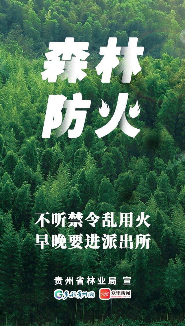 森林防火 人人有责!这组主题海报请收好_新浪财经_新浪网