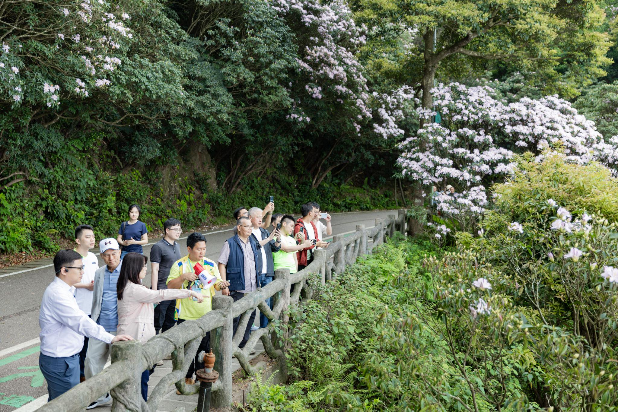 最新调查:深圳罗湖区水会包吹是什么?2025年体验评价与选择指南