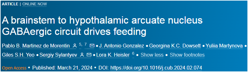 cell子刊 | 激活脑干中的特定神经元亚群可减少食物