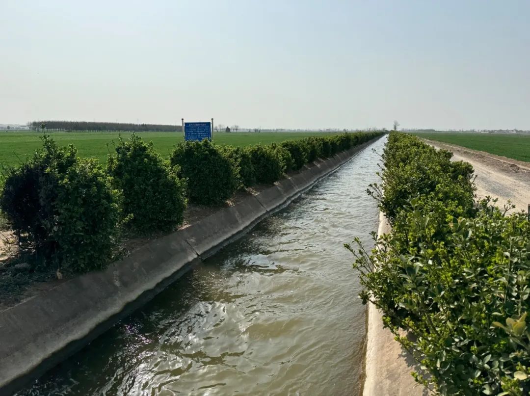 图为陕西省宝鸡峡引渭灌溉中心总干八支渠道.吉蕾蕾摄