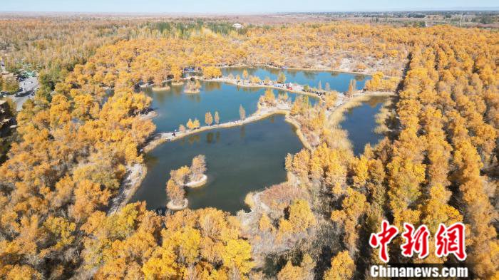 【甘快看】甘肃金塔:防风治沙又一春 戈壁县城添新绿_新浪财经_新浪网