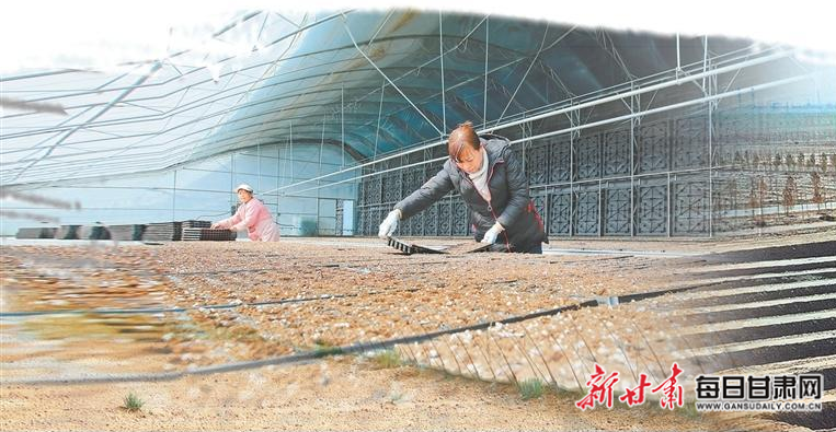 陇原春意浓耕播正当时甘肃省各地抢抓农时忙春耕掠影下