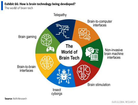 新浪财经_新浪网