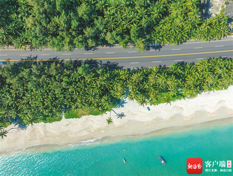 花开琼海 邀您入画|红色娘子军_新浪财经_新浪网