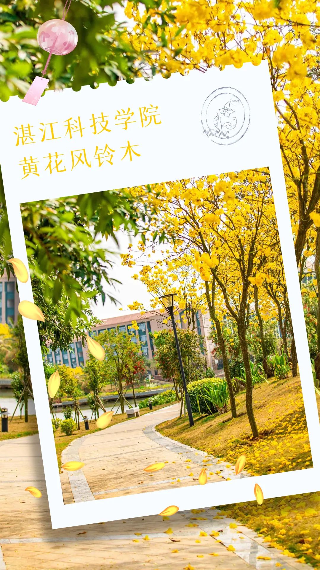 湛江高校最美"校花"靓爆镜|湛江市_新浪财经_新浪网