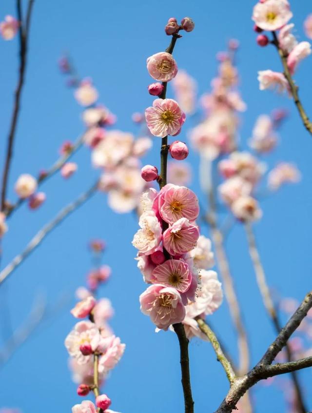 报送:季雨诞(奉城镇)编辑:夏阳海量资讯,精准解读,尽在新浪财经app