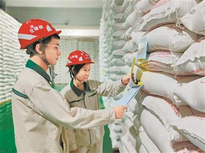 黑科技储粮 新工艺加工 "广州粮仓"创新科技手段 提高全链条粮食利用