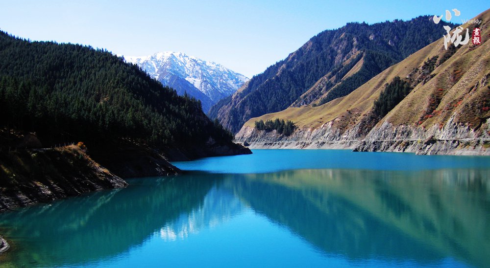 祁连山:绿色蝶变 描绘生态新画卷