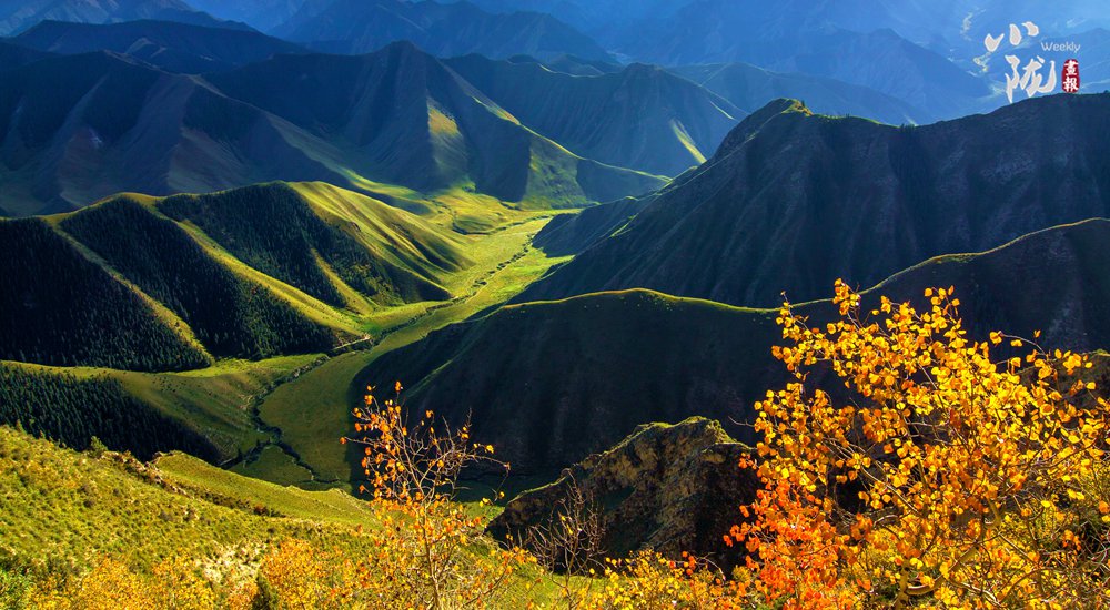 祁连山:绿色蝶变 描绘生态新画卷