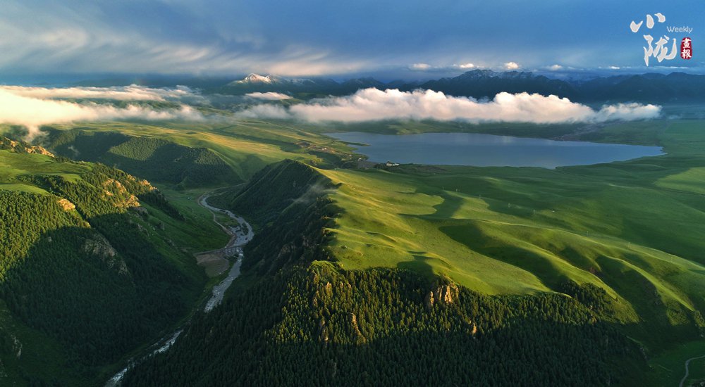 祁连山:绿色蝶变 描绘生态新画卷