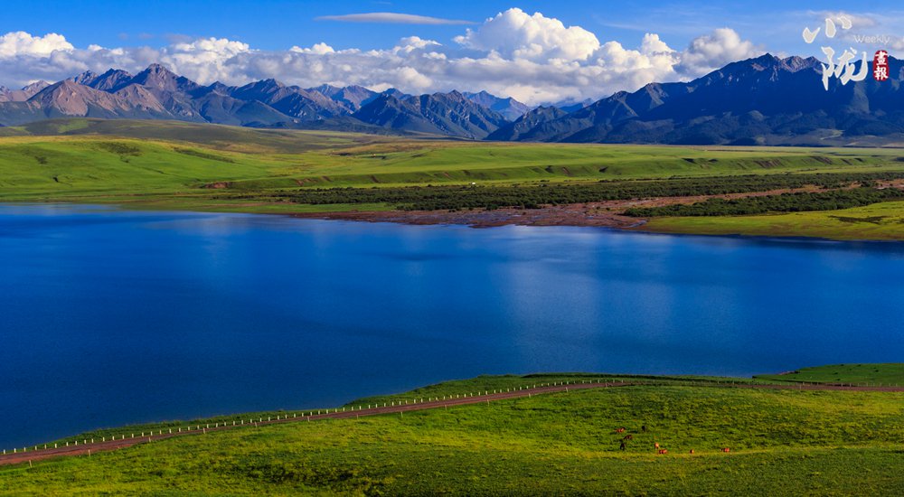 祁连山:绿色蝶变 描绘生态新画卷