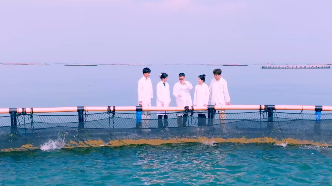 锚定人才工作提质年行动湛江10个县市区出实招