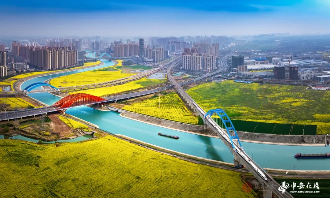 《江淮大运河 风吹香两岸》摄影:罗勇