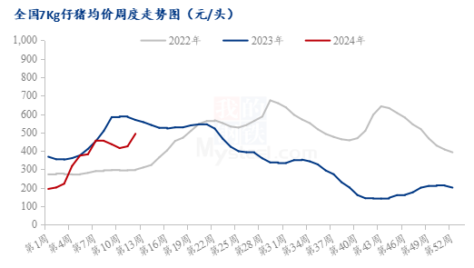 Mysteel解读:平地一声惊雷起 仔猪价格直上600“米”