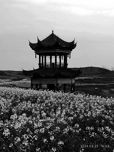 古城小饭店|饭店_新浪财经_新浪网