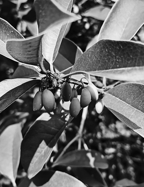 皖河边的 草海|沙洲_新浪财经_新浪网