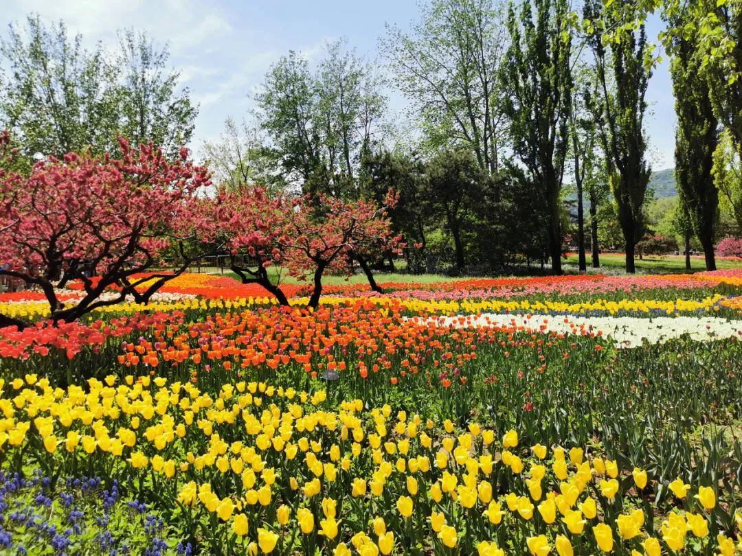 【市场概览】前日金融市场点评|电网_新浪财经_新浪网